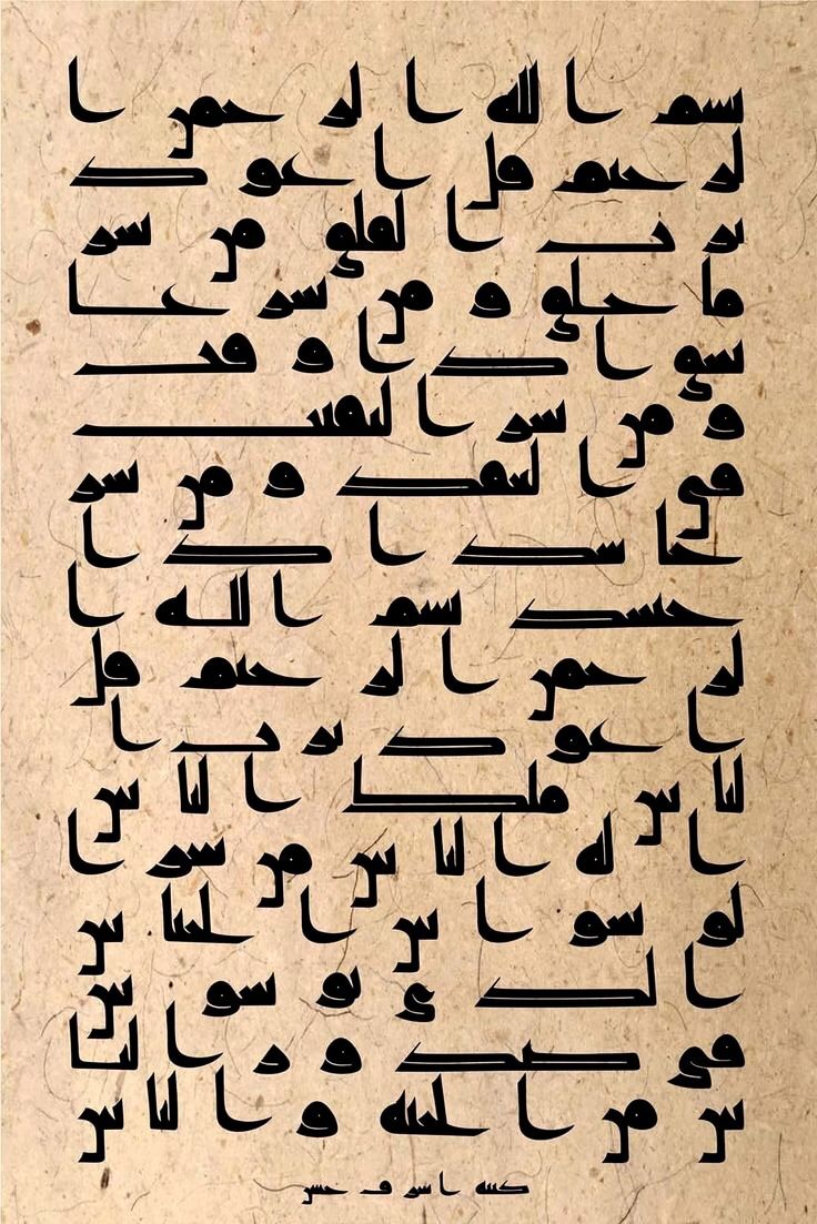 Franchis un réel cap dans la langue arabe ! - Tome 1 de Médine